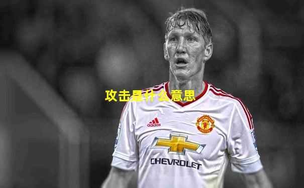 攻击是什么意思