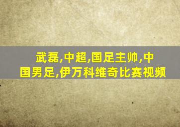 武磊,中超,国足主帅,中国男足,伊万科维奇比赛视频