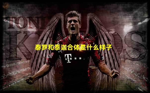 泰罗和泰迦合体是什么样子