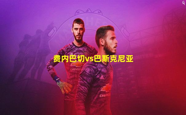 费内巴切vs巴斯克尼亚