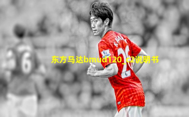 东方马达bmud120_c2说明书