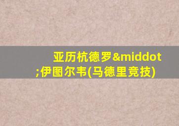 亚历杭德罗·伊图尔韦(马德里竞技)