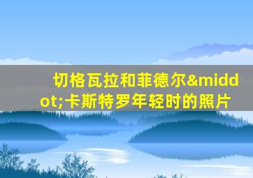 切格瓦拉和菲德尔·卡斯特罗年轻时的照片