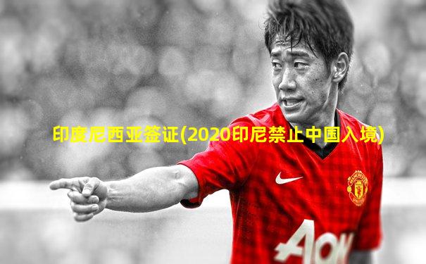 印度尼西亚签证(2020印尼禁止中国入境)