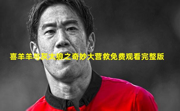 喜羊羊与灰太狼之奇妙大营救免费观看完整版