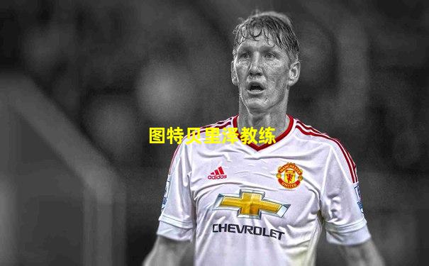 图特贝里泽教练