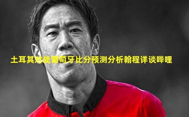 土耳其对战葡萄牙比分预测分析翰程详谈哔哩
