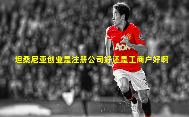 坦桑尼亚创业是注册公司好还是工商户好啊