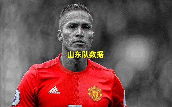 山东队数据