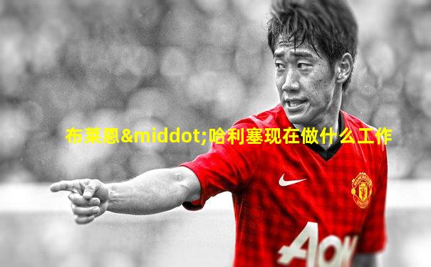布莱恩·哈利塞现在做什么工作