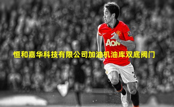 恒和嘉华科技有限公司加油机油库双底阀门