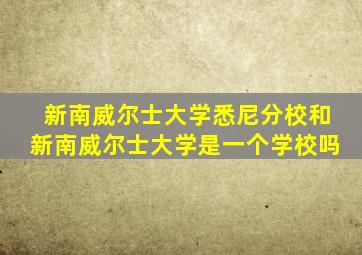 新南威尔士大学悉尼分校和新南威尔士大学是一个学校吗