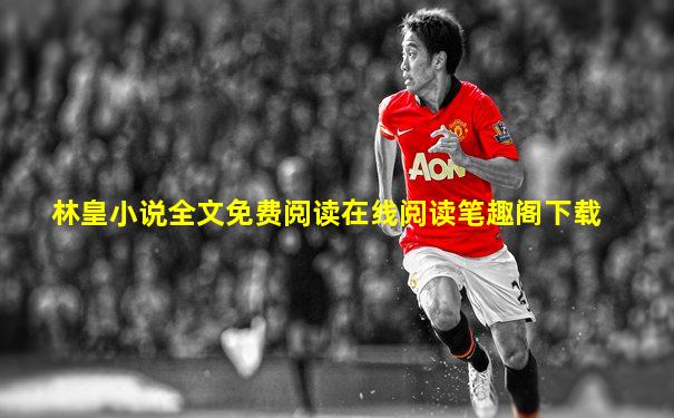 林皇小说全文免费阅读在线阅读笔趣阁下载