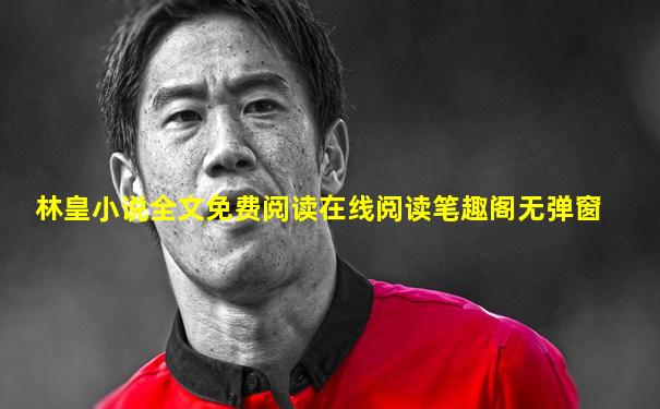 林皇小说全文免费阅读在线阅读笔趣阁无弹窗