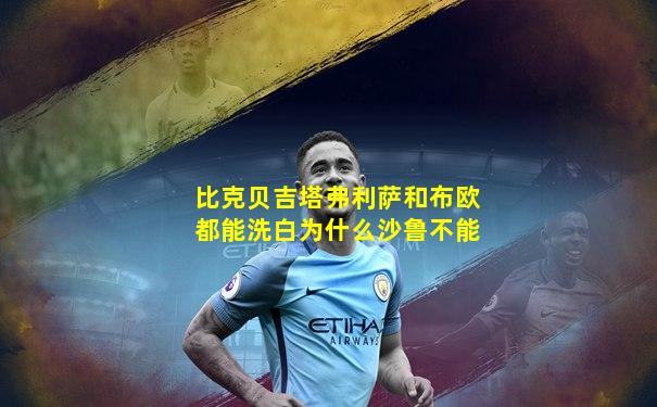 比克贝吉塔弗利萨和布欧都能洗白为什么沙鲁不能