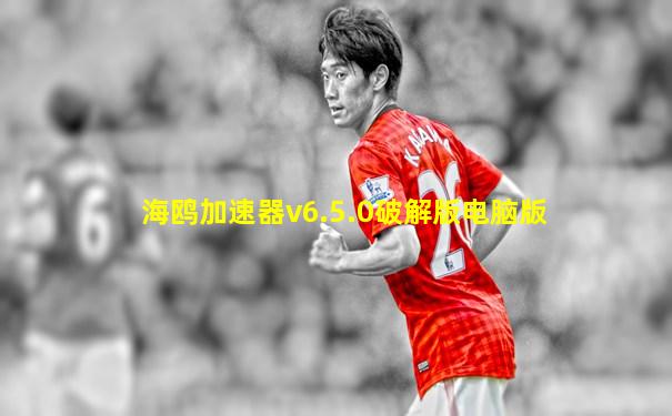 海鸥加速器v6.5.0破解版电脑版