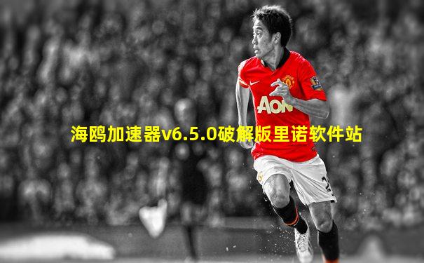 海鸥加速器v6.5.0破解版里诺软件站