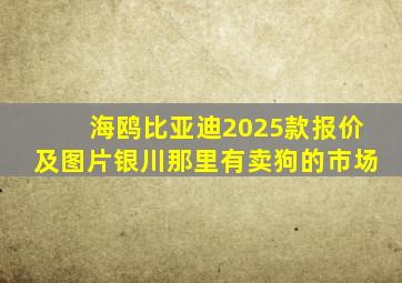 海鸥比亚迪2025款报价及图片银川那里有卖狗的市场