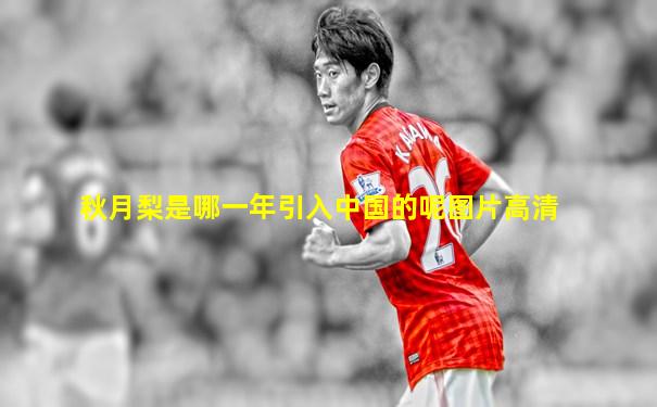 秋月梨是哪一年引入中国的呢图片高清
