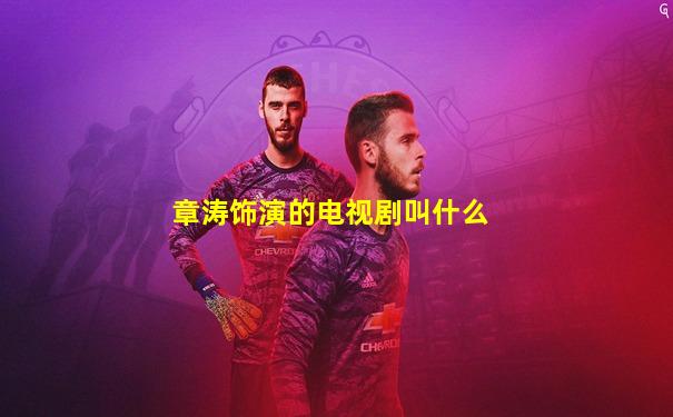 章涛饰演的电视剧叫什么