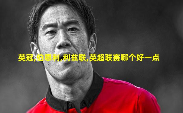 英冠,伯恩利,利兹联,英超联赛哪个好一点