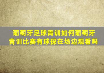 葡萄牙足球青训如何葡萄牙青训比赛有球探在场边观看吗