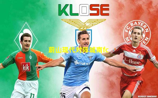蔚山现代对阵城南fc