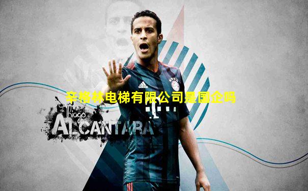 辛格林电梯有限公司是国企吗