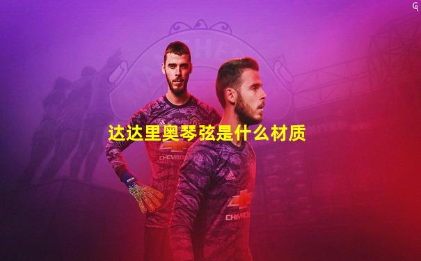 达达里奥琴弦是什么材质