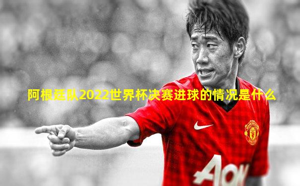 阿根廷队2022世界杯决赛进球的情况是什么